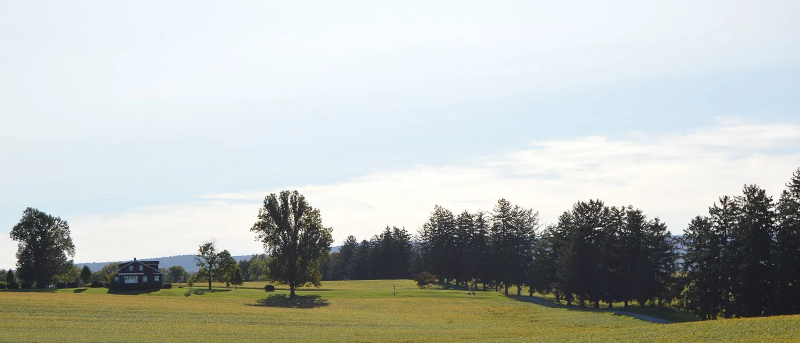 Farm fields and a tree line along U.S. Route 340 in Charles Town, WV