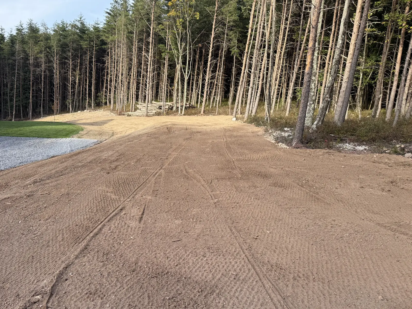 Swale dressed with topsoil and raked smooth between the gravel and the tree line