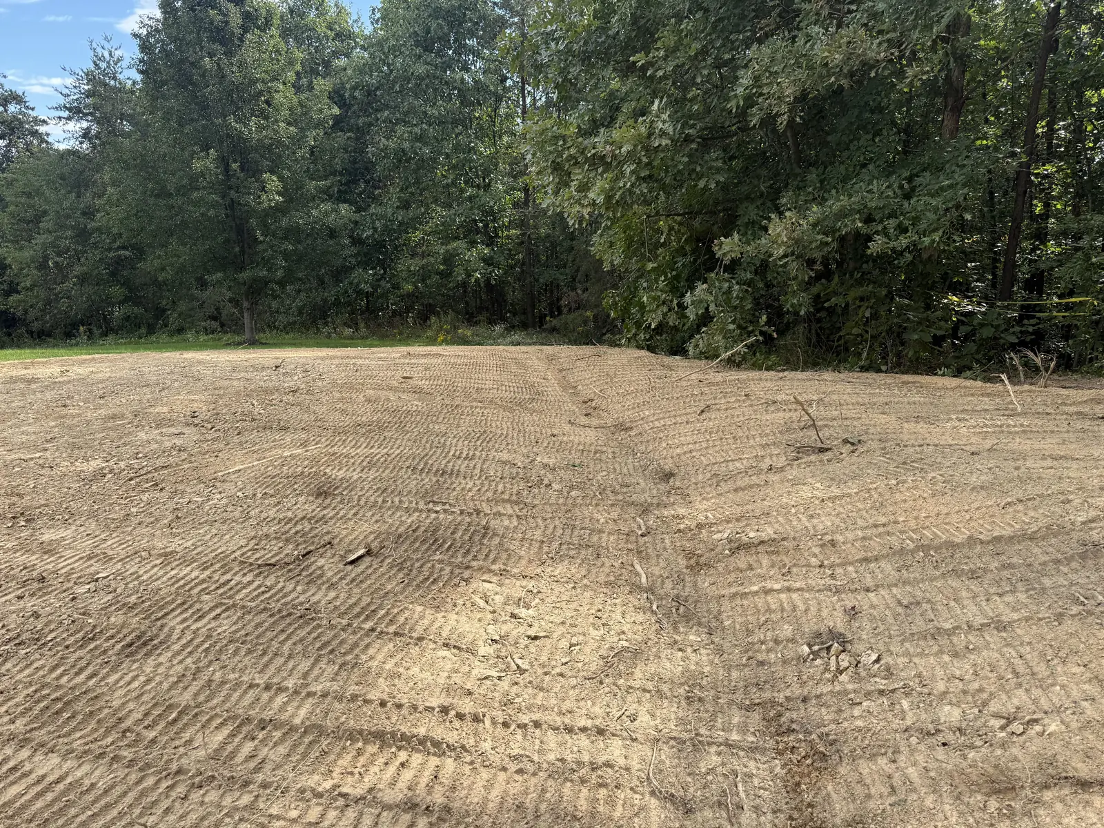 Track marks across freshly graded ground at the edge of the woods