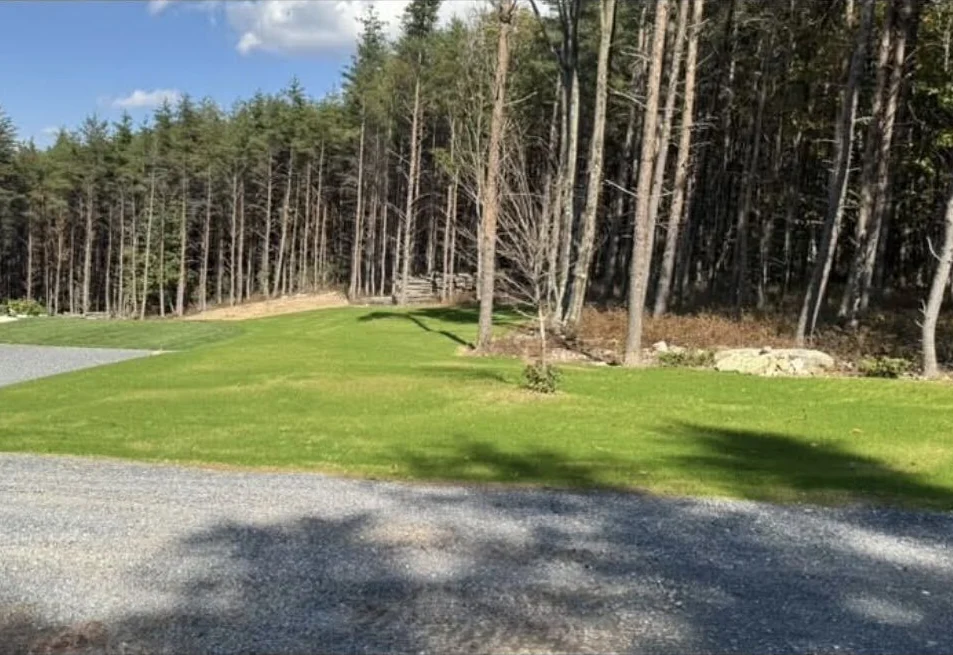 After: the same ground a little over two weeks later, grass grown in over the topsoil